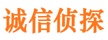 芦山侦探公司